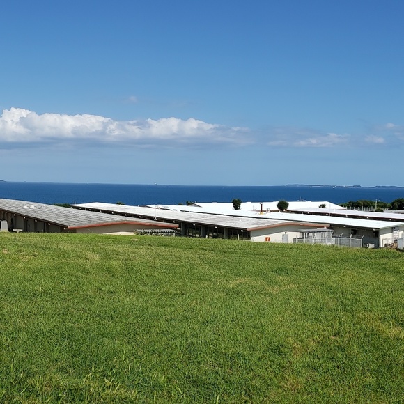 Meet your Posher, Jeff - Picture 1 of 1